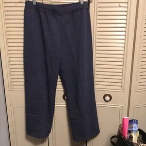 Hanes sweat pants lg.